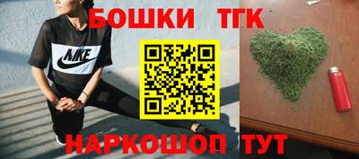 индика Гусь-Хрустальный