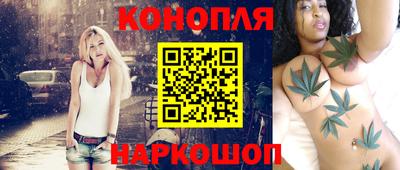 индика Гусь-Хрустальный