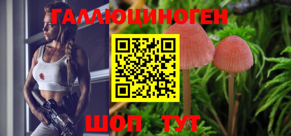 закладка  Псилоцибиновые грибы GOLDEN TEACHER  Псилоцибиновые грибы ЛСД  Вход с VPN  Луховицы 